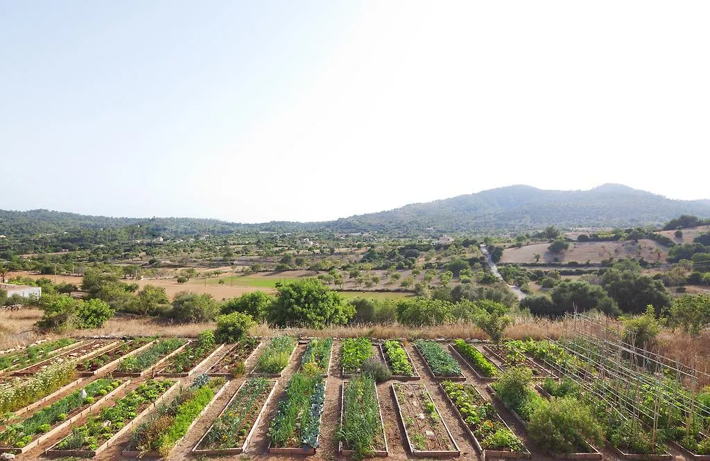 Agroturismo Ses Cases De Fetget (Adults Only) Son Servera  Spain